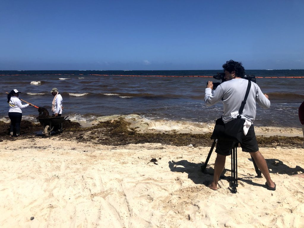 Seaweed affects Mexico’s tourism and economy
